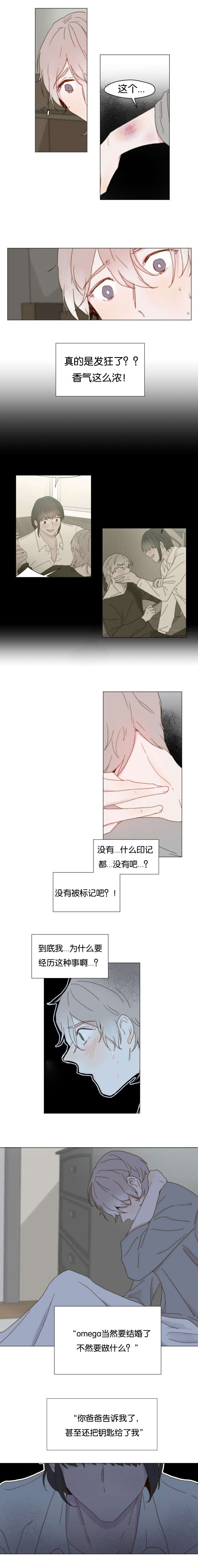 重组兄弟漫画,第13话1图