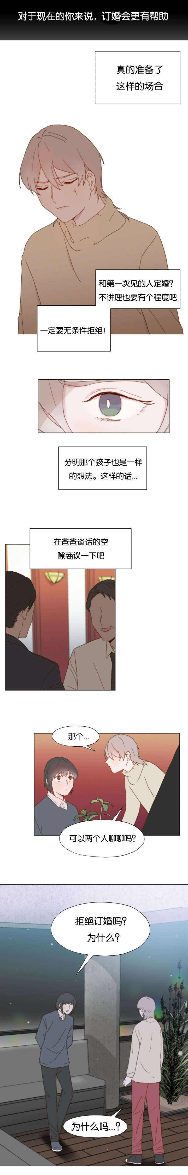 重组牛碱性成纤维细胞生长因子凝胶漫画,第11话2图