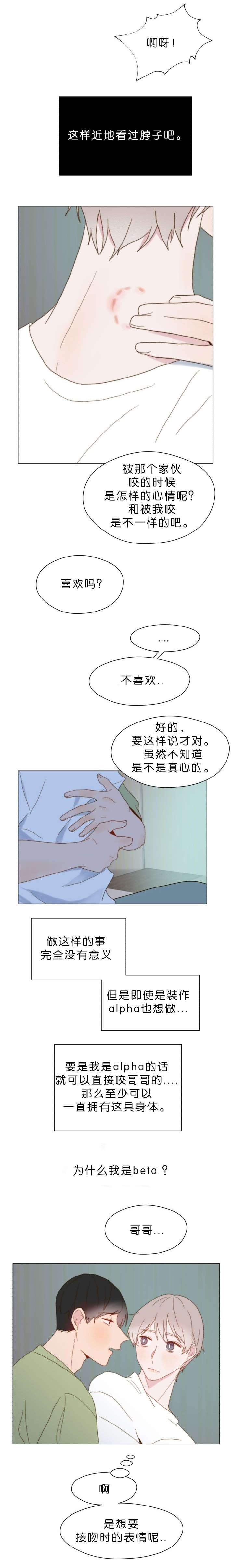 圣盾兄弟重组完整视频漫画,第51话2图