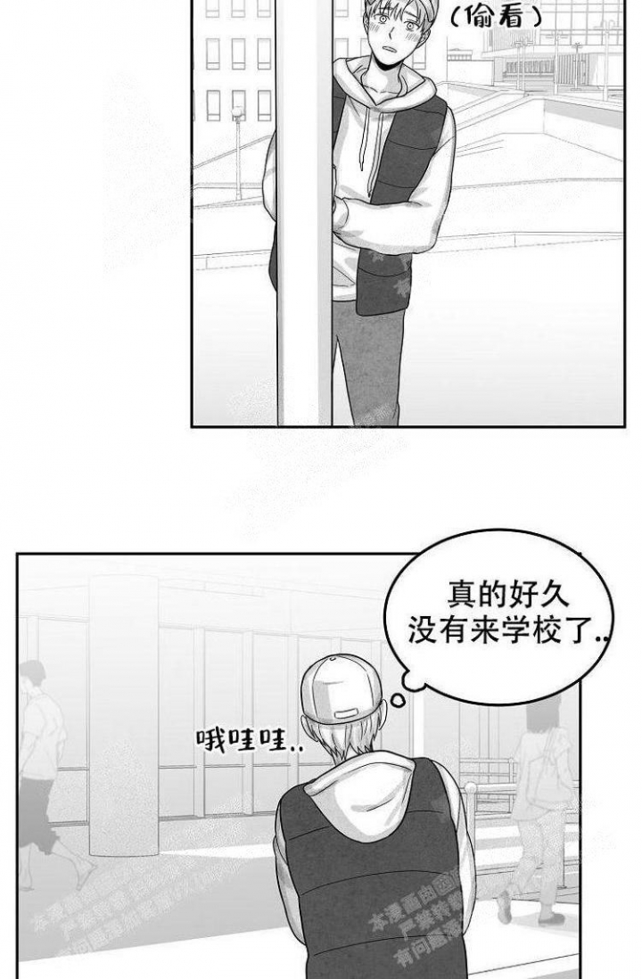 奇妙的每一天漫画免费阅读漫画,第19话1图