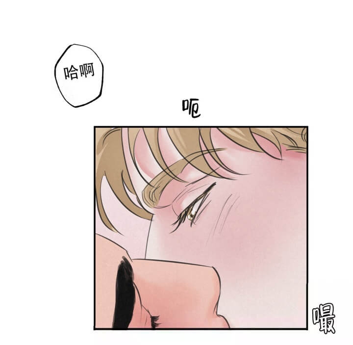 丛林游戏全集免费观看漫画,第16话1图