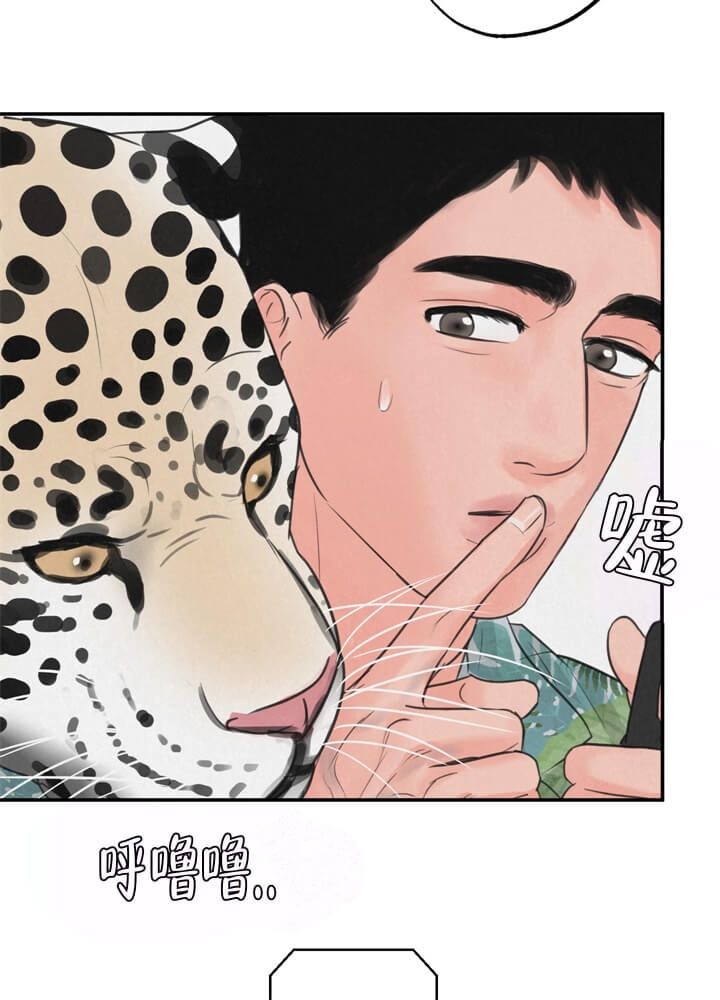 丛林游戏最后的结局漫画,第13话1图