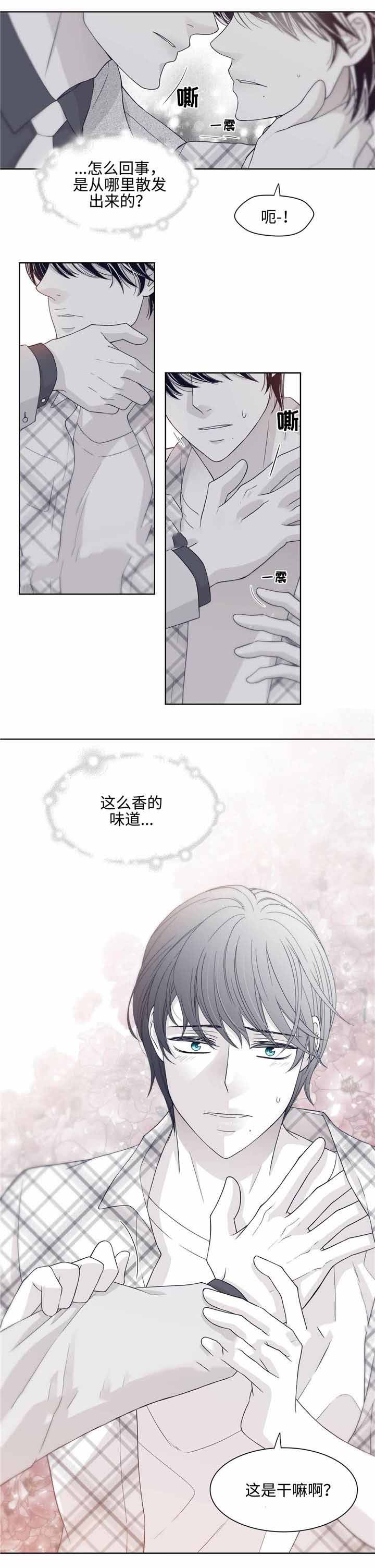 瑞恩的资料简介漫画,第26话1图