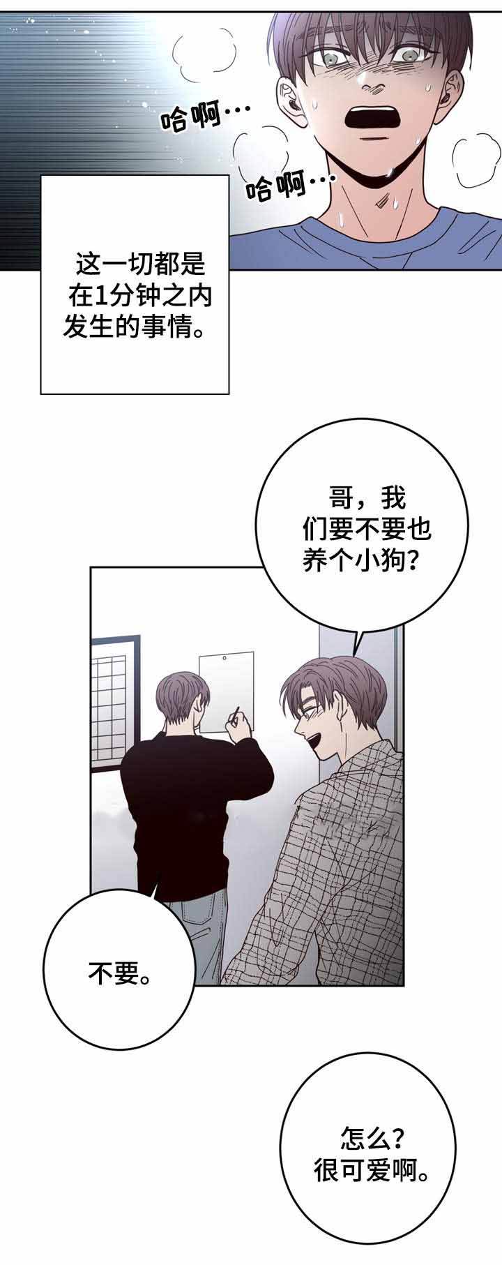 交叉线和直通线的区别和用途漫画,第44话1图