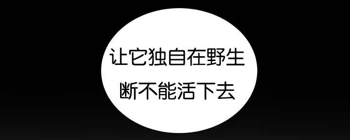 旷野之息如何找到博士漫画,第21话2图