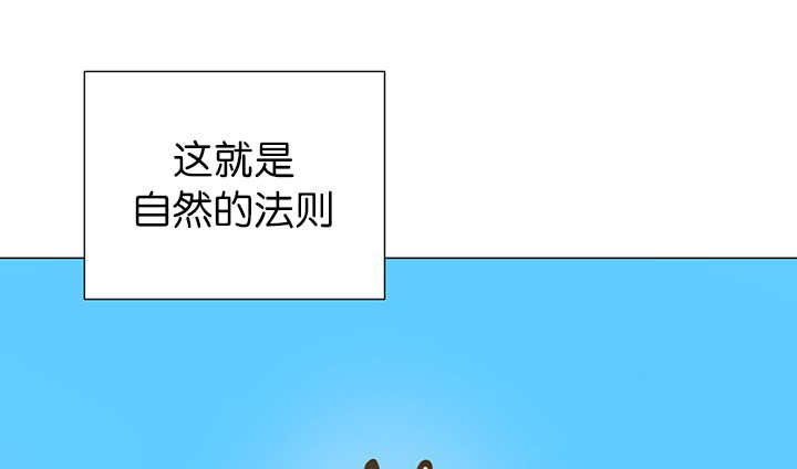 旷野之息箭漫画,第11话2图