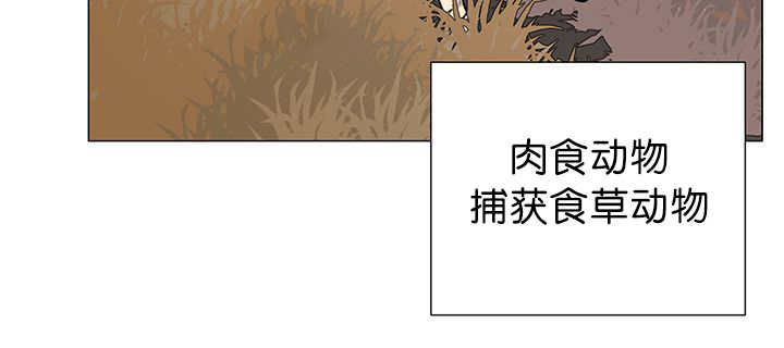 旷野之息箭漫画,第11话1图