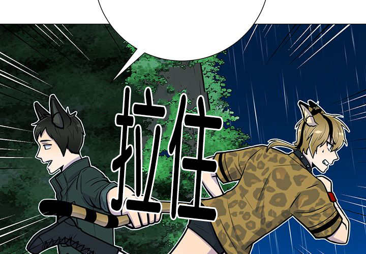 旷野之息视频漫画,第6话1图