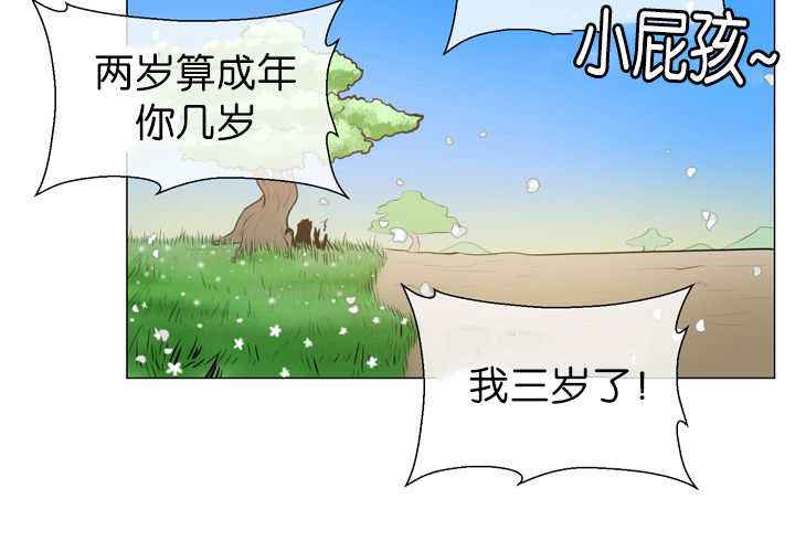 旷野之息amiibo漫画,第13话2图