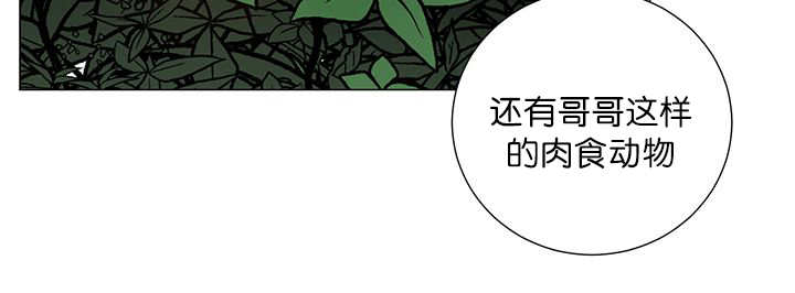 旷野之息失落遗迹下载漫画,第19话2图