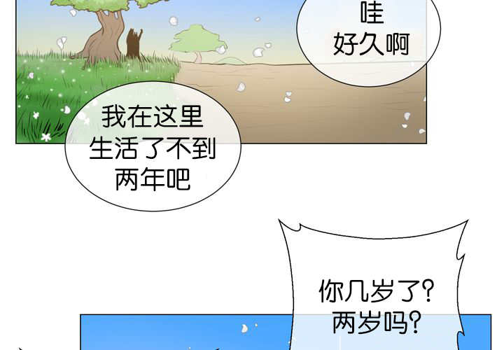 旷野之息amiibo漫画,第13话1图
