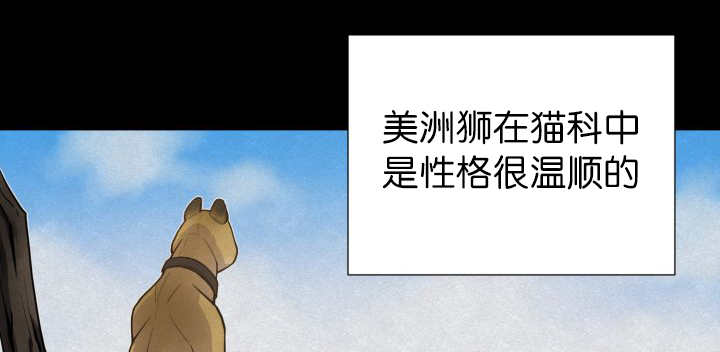 旷野之息箭漫画,第53话1图