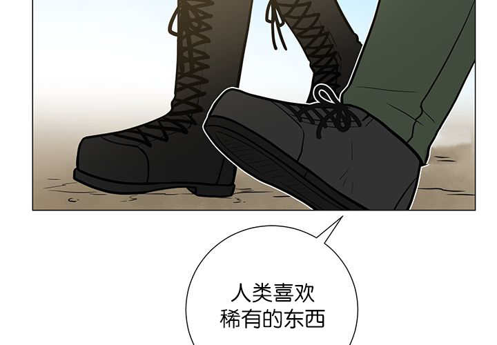旷野之息箭漫画,第5话2图