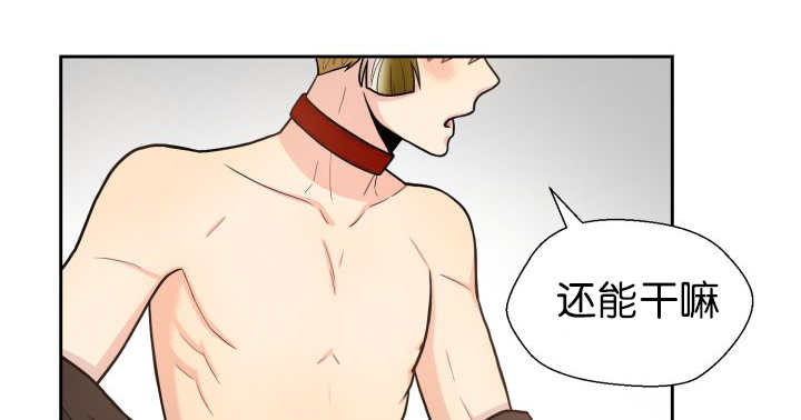 旷野之息箭漫画,第84话1图
