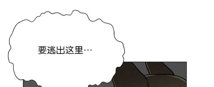 旷野之息amiibo漫画,第5话1图