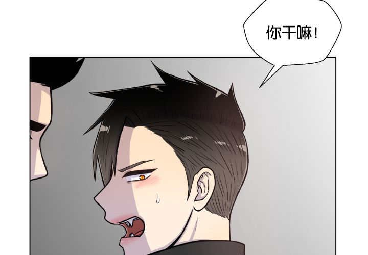 旷野之息箭漫画,第42话1图