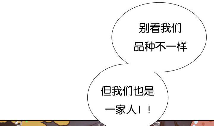 旷野之息菜谱漫画,第26话2图