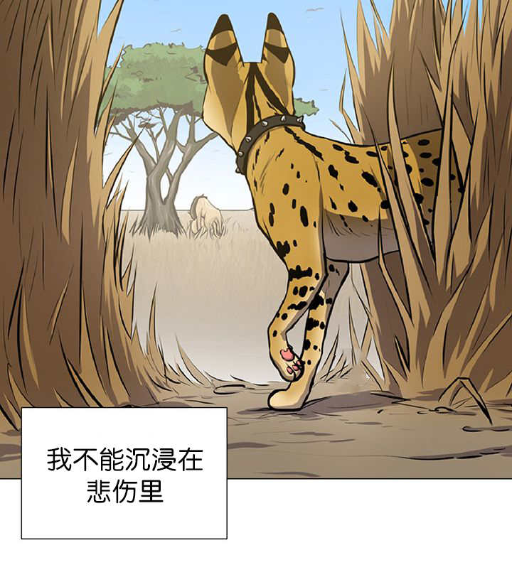 旷野之息菜谱漫画,第11话2图
