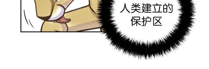 旷野之息箭漫画,第85话1图