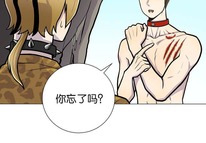 旷野之息失落遗迹下载漫画,第4话2图