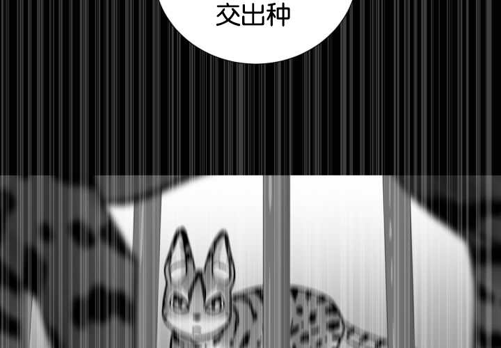 旷野之息箭漫画,第49话1图