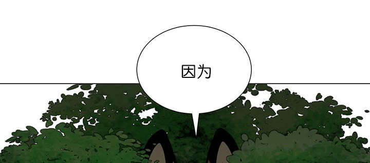 旷野之息希基托神庙漫画,第20话2图