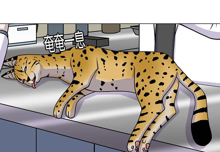 旷野之息希基托神庙漫画,第1话1图