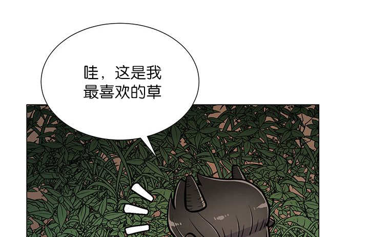 旷野之息失落遗迹下载漫画,第19话1图