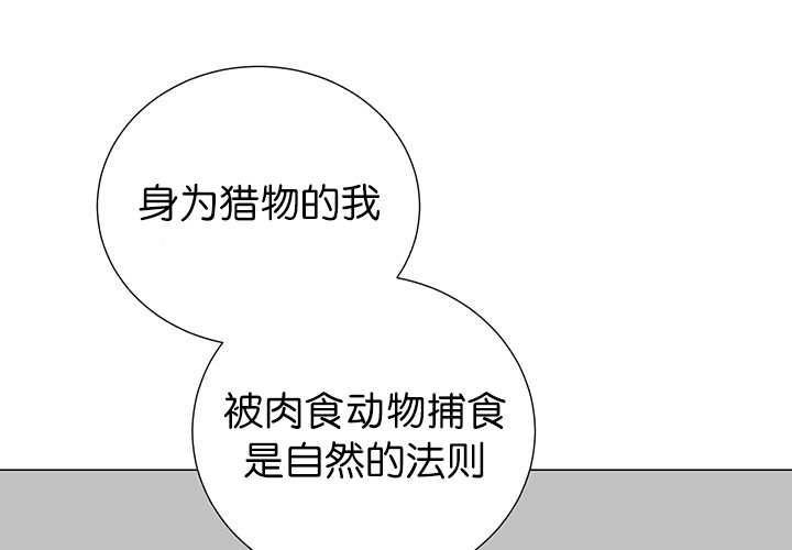 旷野之息失落遗迹下载漫画,第10话1图