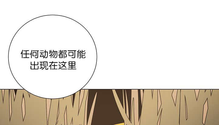 旷野之息失落遗迹下载漫画,第14话2图