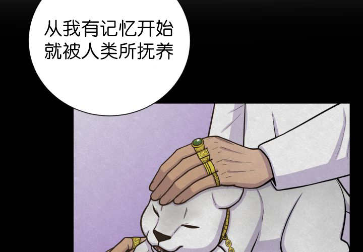 旷野之息箭漫画,第87话1图