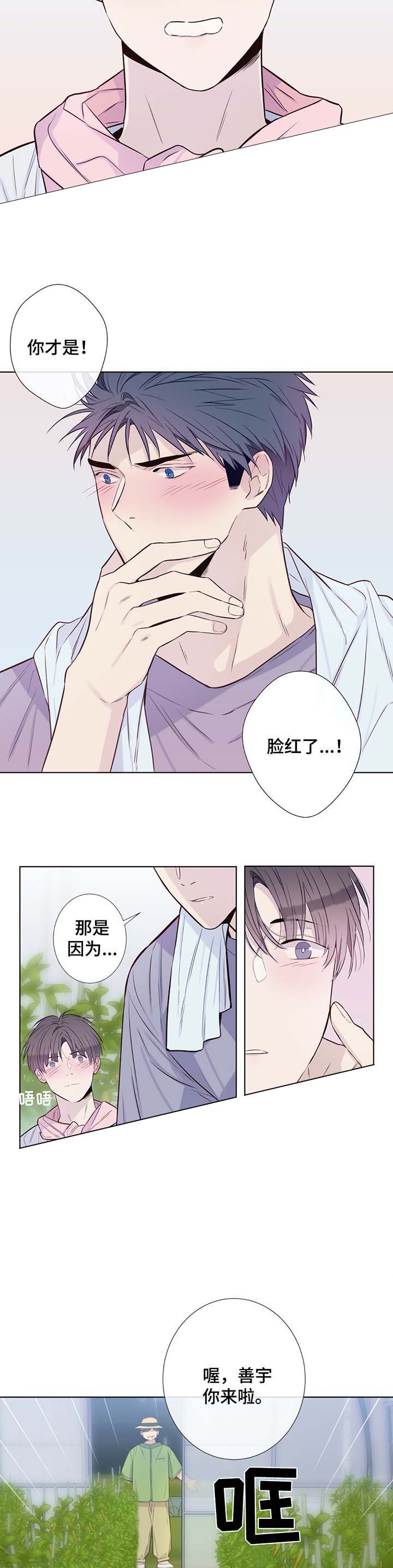 夏日的来客漫画,第33话1图