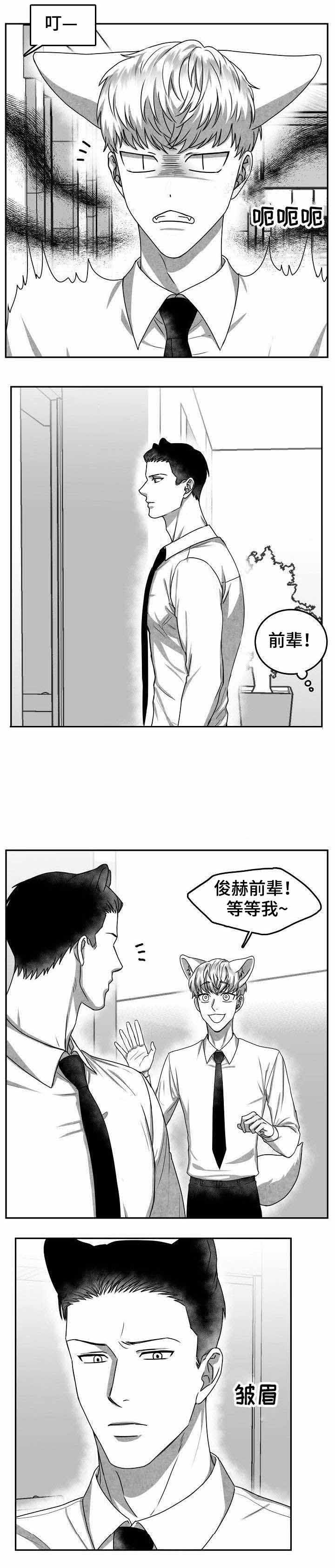为爱而狂漫画,第28话1图
