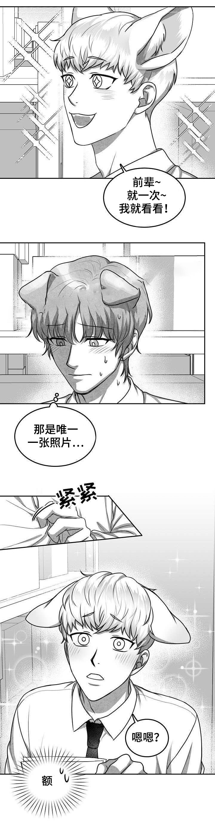 为爱而狂漫画,第19话1图