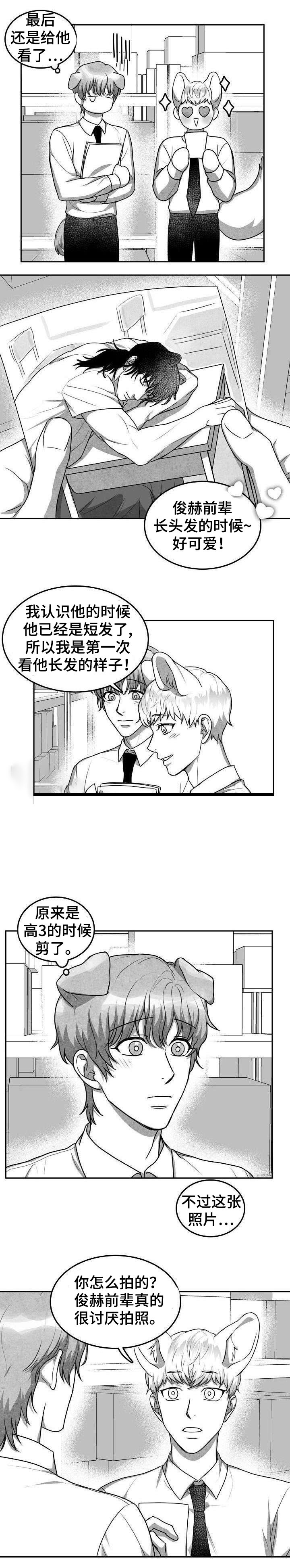 为爱而狂漫画,第19话2图