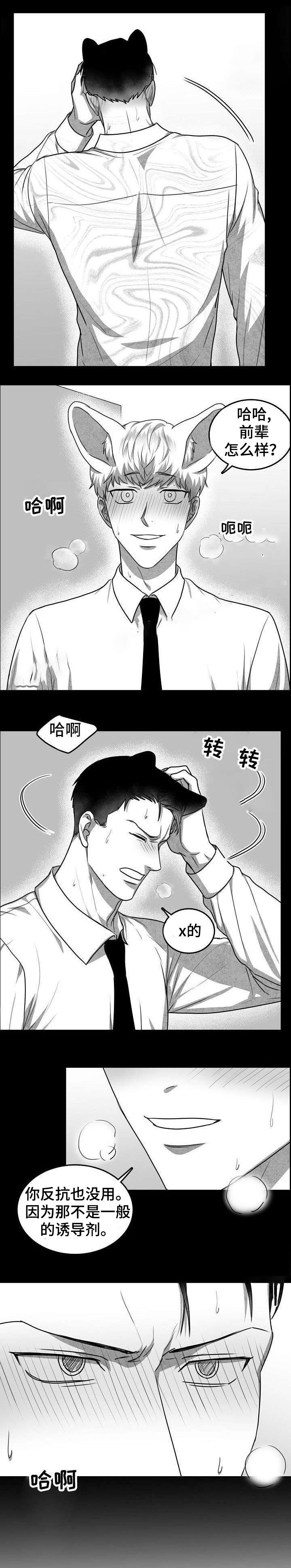 为爱而狂漫画,第24话2图