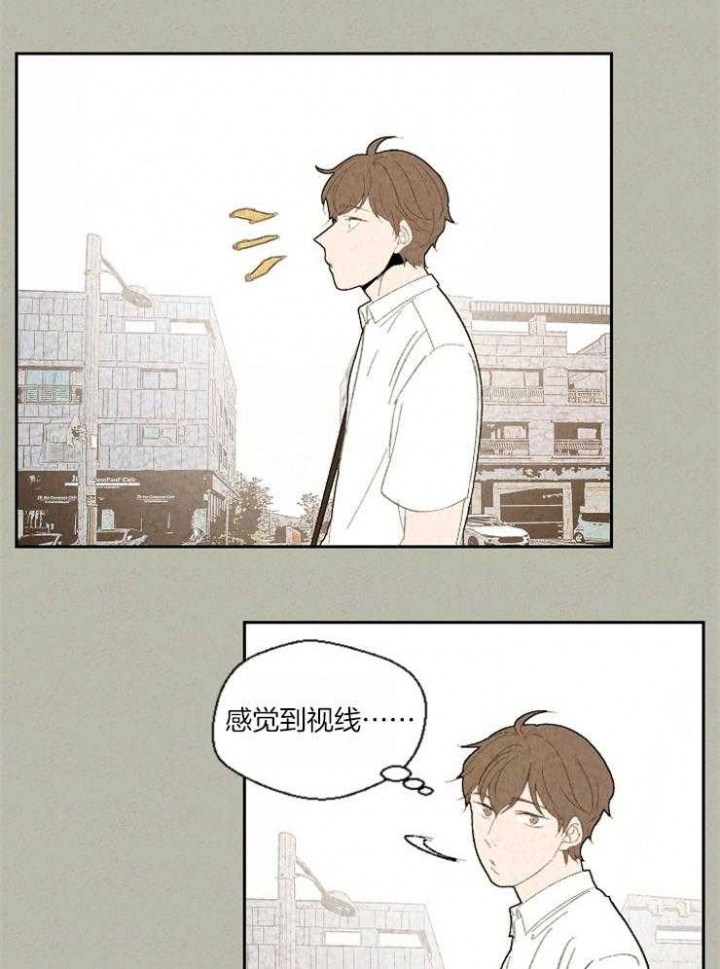 物业公司需要哪些持证上岗的人员漫画,第78话2图