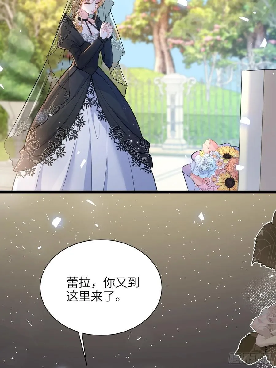 寡妇王妃带娃登基漫画第45话漫画,50 白兰地王子1图