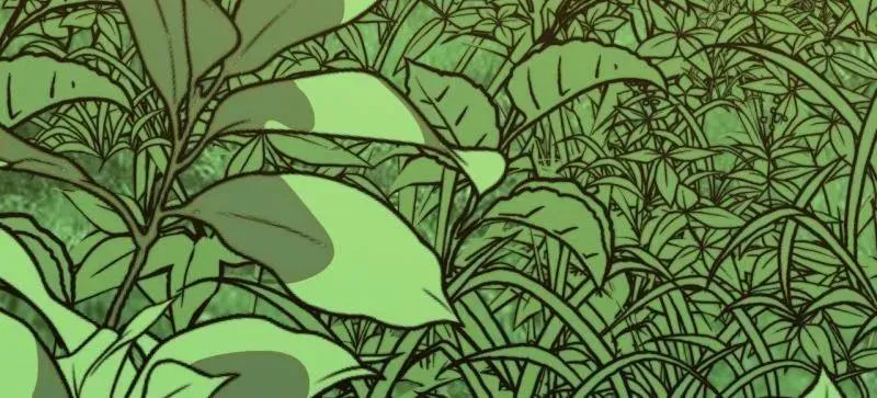 开局一座山免费看漫画,第938话 ：新资源2图