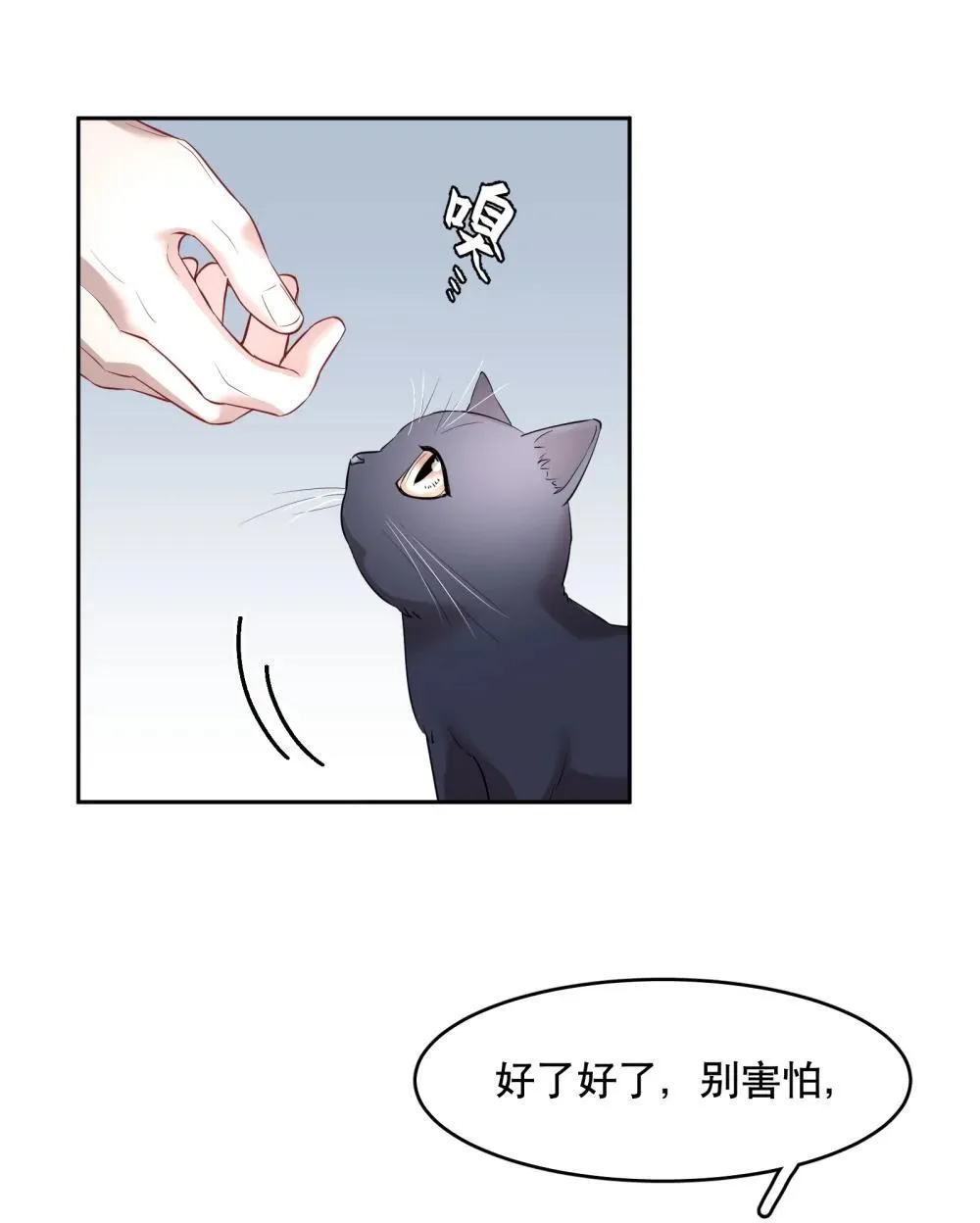 飞鸥不下txt下载百度网盘漫画,第97章 “故猫”1图