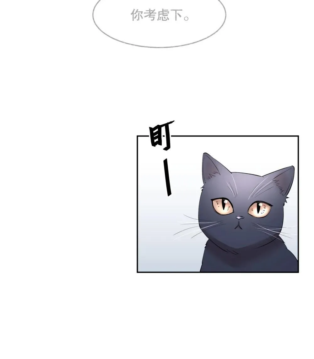 飞鸥不下最新章节无弹窗笔趣阁漫画,第97章 “故猫”2图