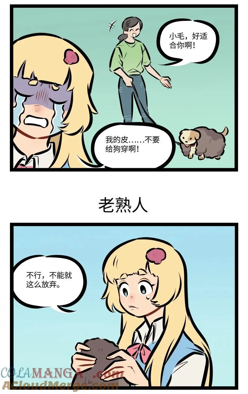 1031万圣街艾勒的家人漫画,第853话 碰运气1图