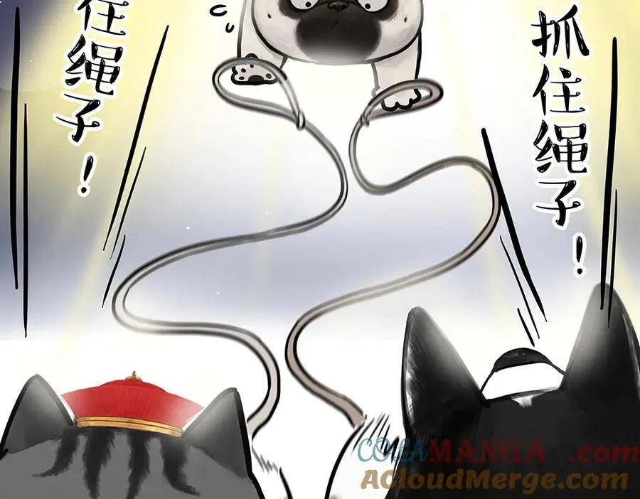 吾皇巴扎黑漫画,第444话 定！1图