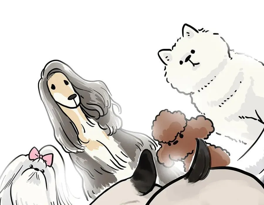 吾皇巴扎黑漫画,第444话 定！2图