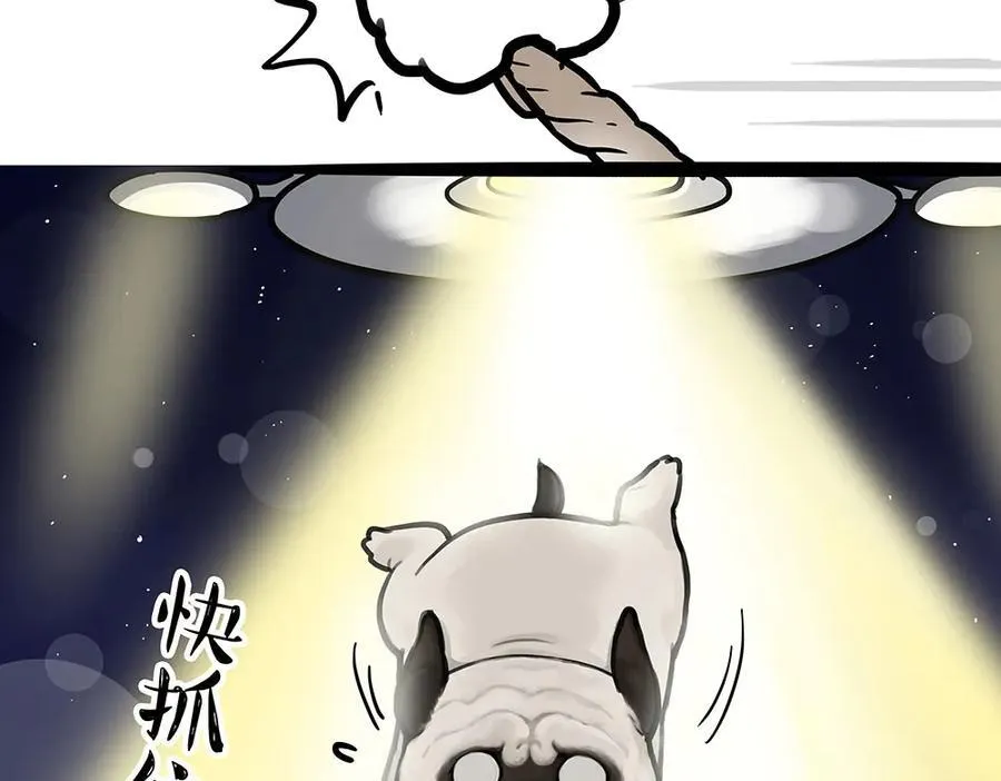 吾皇巴扎黑漫画,第444话 定！2图
