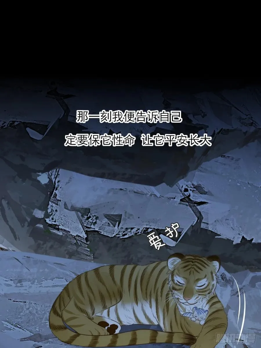 只有尾巴不可以盖子犬微博超话漫画,虎与爆篇11图