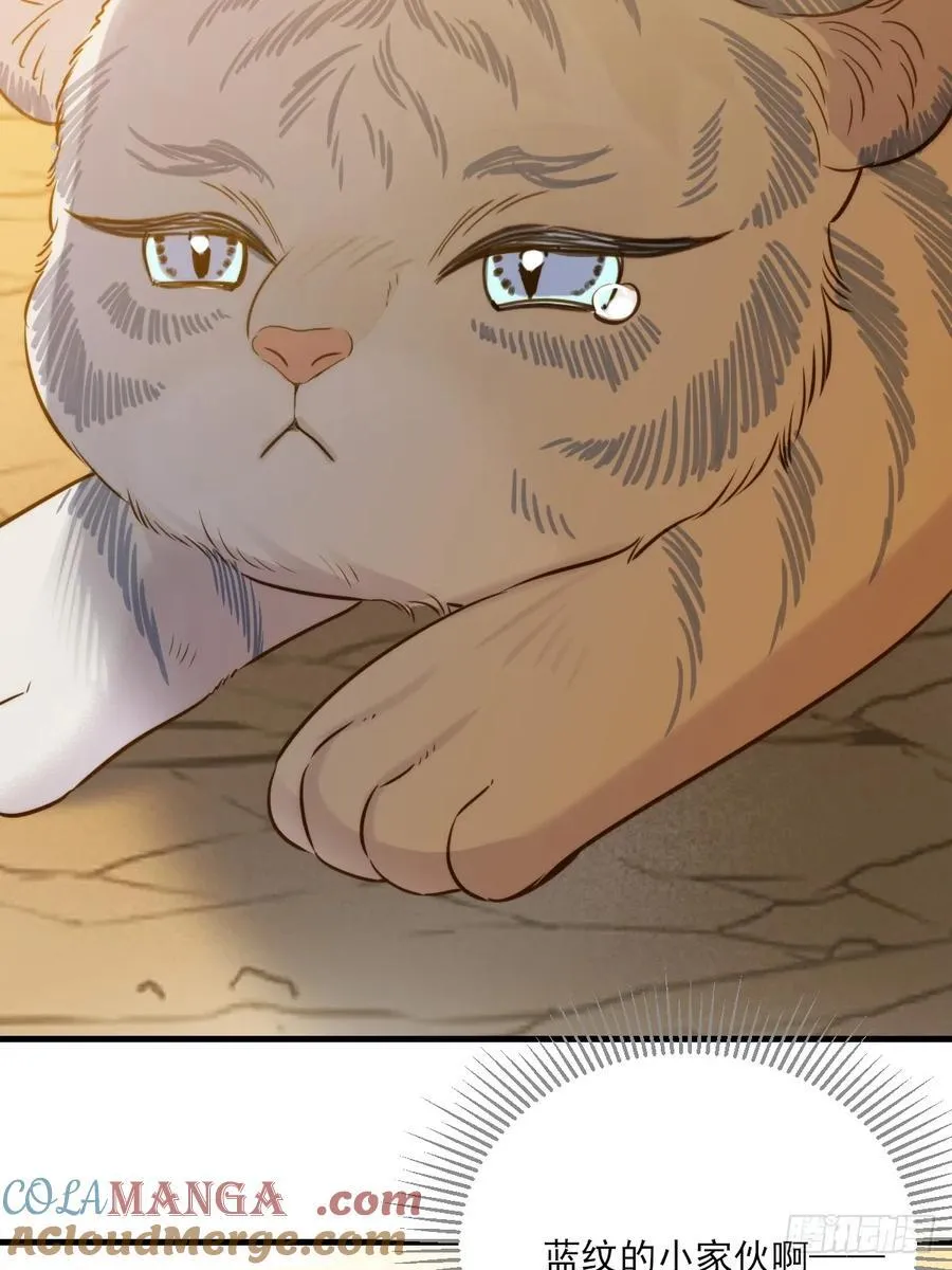 只有尾巴不可以盖子犬微博超话漫画,虎与爆篇11图