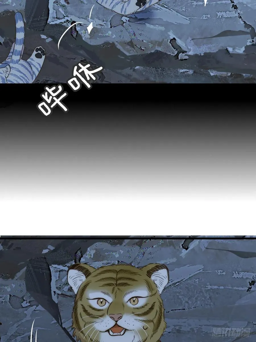 只有尾巴不可以盖子犬微博超话漫画,虎与爆篇11图