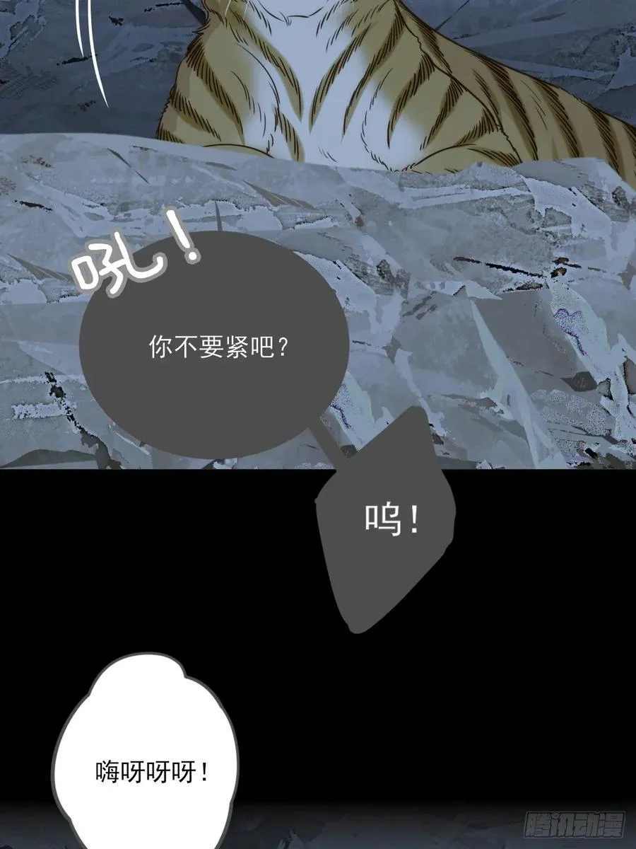 只有尾巴不可以盖子犬微博超话漫画,虎与爆篇12图