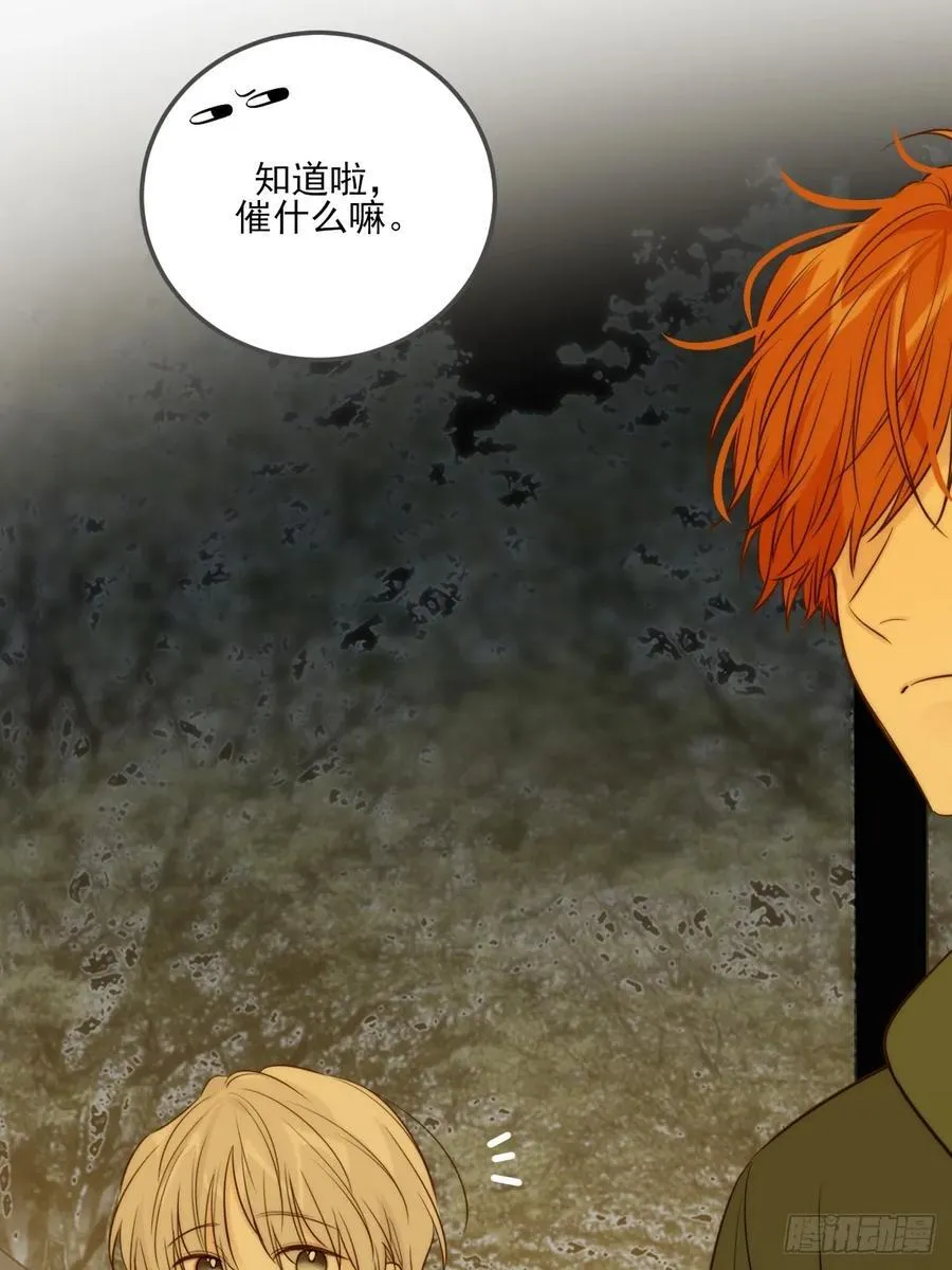 只有尾巴不可以盖子犬微博超话漫画,夜幕烟火2图